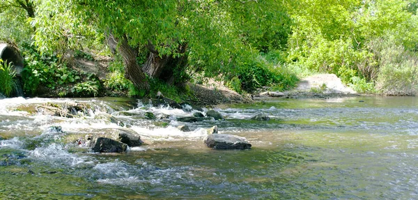 Όμορφη Διαφανή Ήρεμης Λίμνης Στις Ακτές Ενός Δάσους Ένα Πράσινο — Φωτογραφία Αρχείου