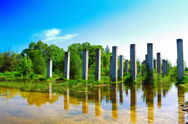 Schöner Transparenter Ruhiger See Ufer Eines Waldes Mit Einer Grünen — Stockfoto