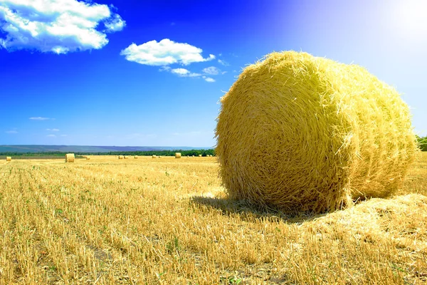 Pagliaio Nel Campo Dopo Raccolta Del Grano Alta Stagione Con — Foto Stock