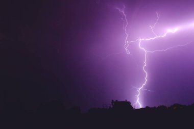yıldırım gece gökyüzü renginde bu ağaçlar aydınlatıcı inanılmaz güzel bir mor renk flaş
