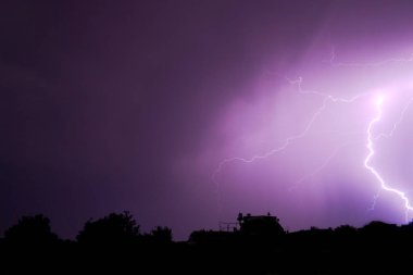 yıldırım gece gökyüzü renginde bu ağaçlar aydınlatıcı inanılmaz güzel bir mor renk flaş
