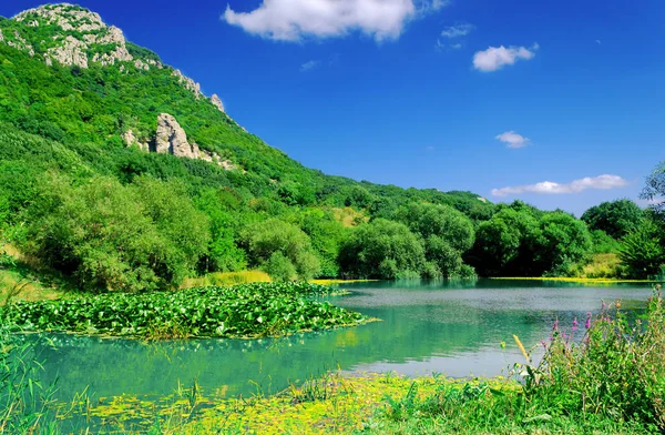 Modré Jezero Kvetoucí Žluté Lekníny Lese Vysoká Horách — Stock fotografie