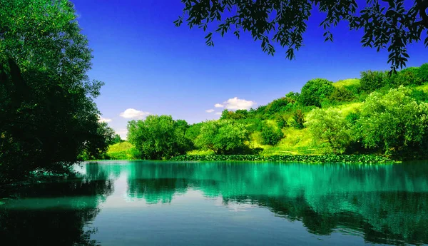 Blauer See Mit Blühenden Gelben Seerosen Einem Wald Hoch Den — Stockfoto