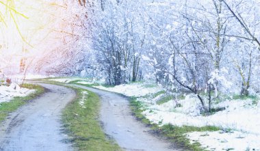 su birikintileri ve çamur oluşturma sıcak güneşin ışınları orman yol sonbaharda ilk kar erir