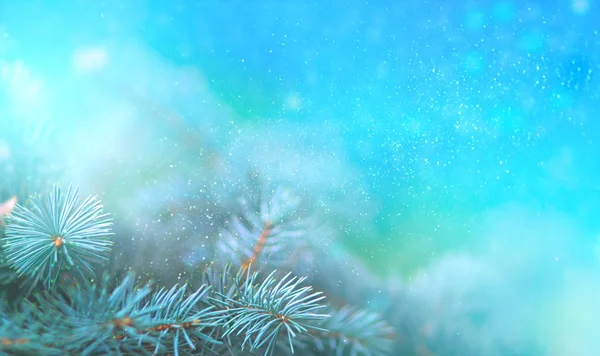 Noel çam dalında yakın kadar mavi arka plan ışık ışınları yansımaları ile yıldızlar ve fenerler güzel bokeh