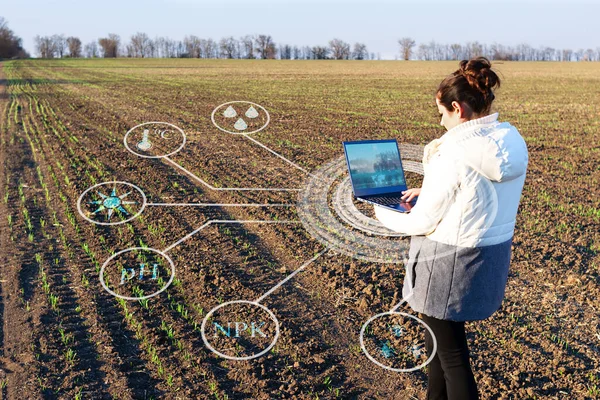 将来の農業の概念は 農家はデータを収集し 植物の成長を改善し 収量を増加させるためにラップトップ上で分析します 農業における近代技術 — ストック写真