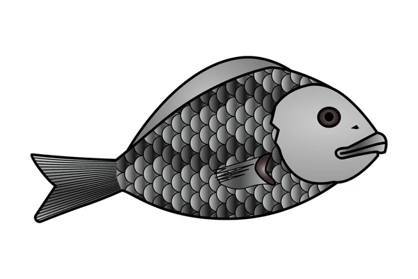 Einen Fisch Vektorillustration — Stockvektor