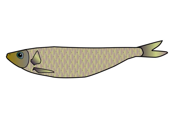 Einen Fisch Vektor Illustration Auf Weißem Hintergrund — Stockvektor