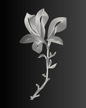 çiçek. Grafik tasarım öğesi koyu gri arka plan üzerinde. vektör çizim