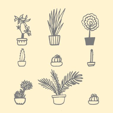 houseplants ayarlayın. Çizilmiş vektör çizim.