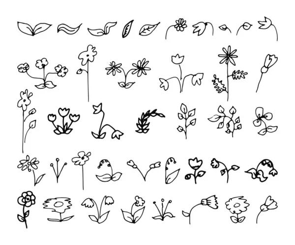 Hand getekende doodle plant elementen set. — Stockvector