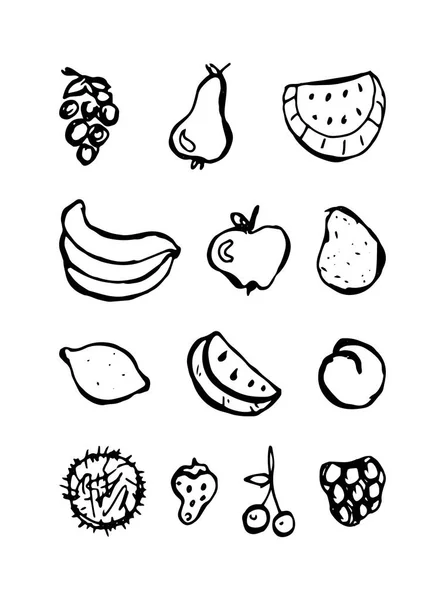Reihe handgezeichneter Doodle-Früchte. schwarz-weiß — Stockvektor