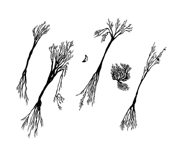 Set de árboles de Halloween. Dibujado a mano — Vector de stock