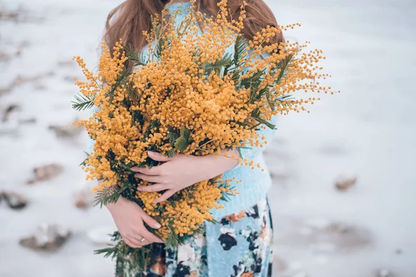 Mimosen Gelbe Blüten Frauenhänden Abgeschnitten Frühlingskonzept Frauentag Symbol Stockbild