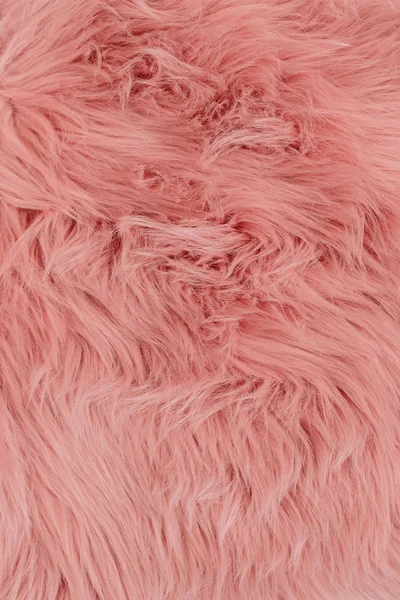 Pink fur background. Pink sheepskin background and texture. Fur pattern.