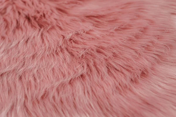 Pink fur background. Pink sheepskin background and texture.