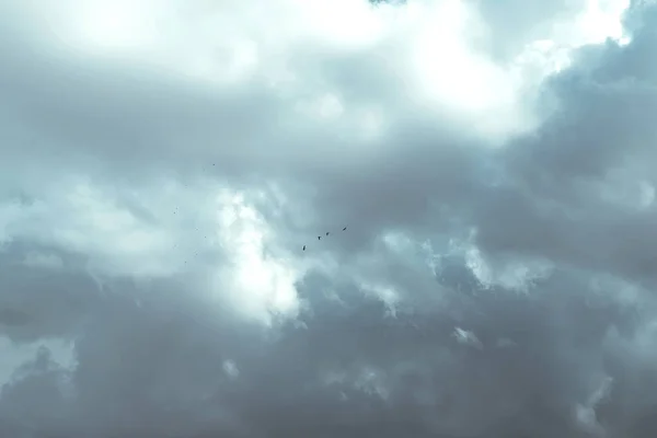 Rebanho Pássaros Céu Deslumbrante Com Grandes Nuvens Escuras — Fotografia de Stock