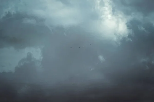 Rebanho de pássaros no céu deslumbrante com grandes nuvens escuras — Fotografia de Stock