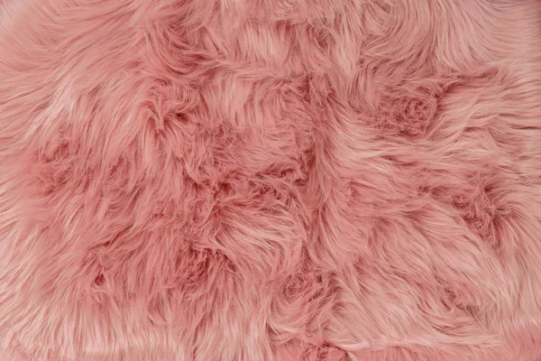 Roze bont achtergrond. Roze schapenvacht achtergrond en textuur. — Stockfoto