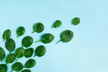 Mavi arka planda yeşil taze vejetaryen salatası yaprakları. Üst görünüm.