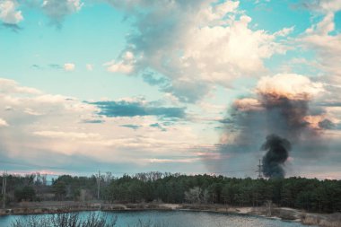Göl kenarında orman yangını ve arka planda aydınlık ve kara bulutlarla çarpıcı bir gökyüzü..