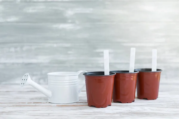 Pentole marroni con etichette e acqua bianca lattina. Piante in vaso su sfondo bianco in legno . — Foto Stock