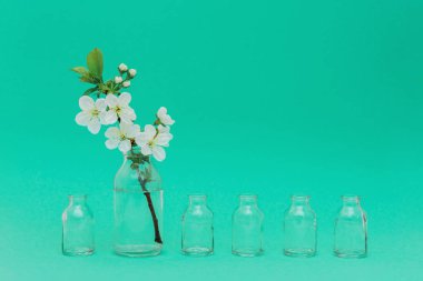 Yeşil arka planda cam şişede beyaz çiçekli bir dal..