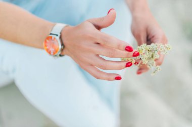 Kadın elleri tarla buketini tutuyor. Kırpılmış.