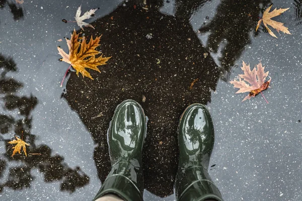 Feet in olive green rubber boots standing in a puddle with fallen leaves. — Stock Photo, Image