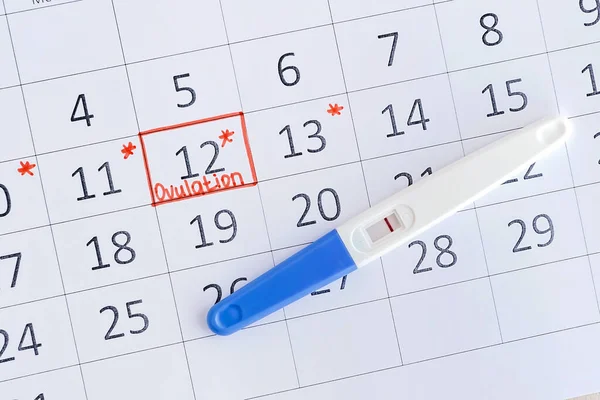 Negatieve zwangerschapstest met cirkeldatum in kalender. Planning van de zwangerschap, proberen om baby te krijgen. — Stockfoto