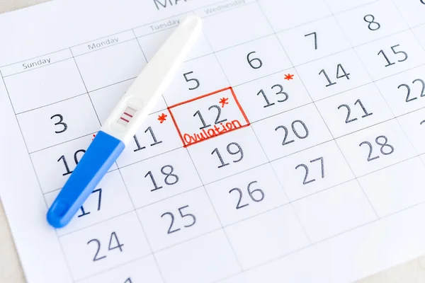 Teste de gravidez positivo com data de círculo no calendário. Planejamento da gravidez, tentando ter bebê . — Fotografia de Stock