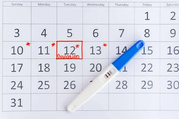 Positive pregnancy test with circling date in calendar. Planning of pregnancy, trying to have baby. — Stock Photo, Image