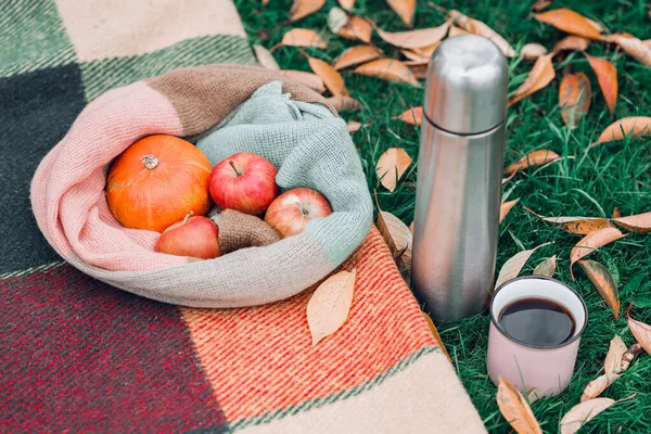 Herbstpicknick im Park mit Tee, Äpfeln und Kürbis auf einer warmen Decke in gelben Herbstblättern. — Stockfoto