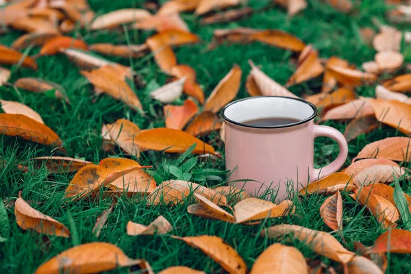Tasse mit heißem schwarzen Tee inmitten gefallener Herbstblätter. — Stockfoto