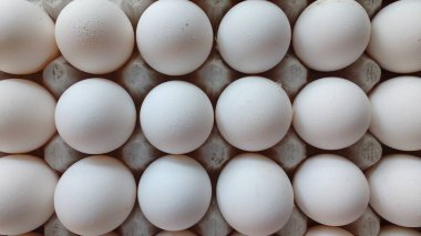 Beyaz arka planda izole karton yumurta kutusunda tavuk yumurtası. Beyaz yumurtalı karton yumurta tepsisi, ön görünüm. Kuş yumurtaları, gıda, kümes hayvanları tarım, gastronomi, yemek, vb için en iyi vektör illüstrasyon