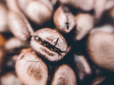 Sade kahve çekirdeklerini yakın çekelim. Doğal acı bir tadı var. Geçmişi bulanık.