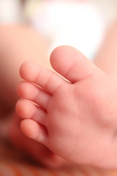 Closeup Tiny Newborn Baby Feet — Stock Photo, Image