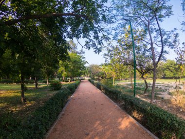 Delhi, Hindistan 'da Ashok Vihar yakınlarında piknik kulübesi. Koronavirüs salgınından dolayı çok daha az ziyaretçi.