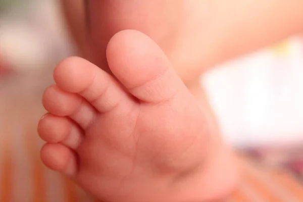 Fechar Dos Pés Bebê Recém Nascido Minúsculo — Fotografia de Stock
