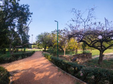 Delhi, Hindistan 'da Ashok Vihar yakınlarında piknik kulübesi. Koronavirüs salgınından dolayı çok daha az ziyaretçi.