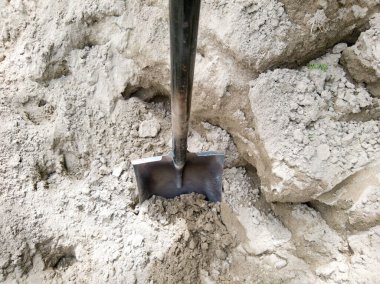 Ahşap saplı Malzeme Tedarikçisi Toz Küreği (Belcha),