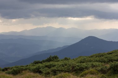 Güzel dağların görkemli manzarası. Rahatlatıcı seyahat arka plan. Turistik rotalar. Karpatlar. Ukrayna. Avrupa.