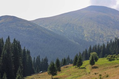 Güzel dağların görkemli manzarası. Rahatlatıcı seyahat arka plan. Turistik rotalar. Karpatlar. Ukrayna. Avrupa.