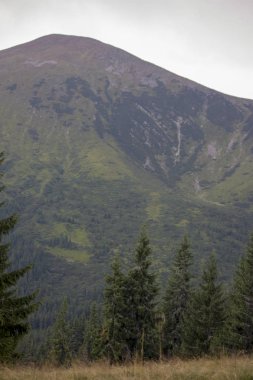 Güzel dağların görkemli manzarası. Rahatlatıcı seyahat arka plan. Turistik rotalar. Karpatlar. Ukrayna. Avrupa.