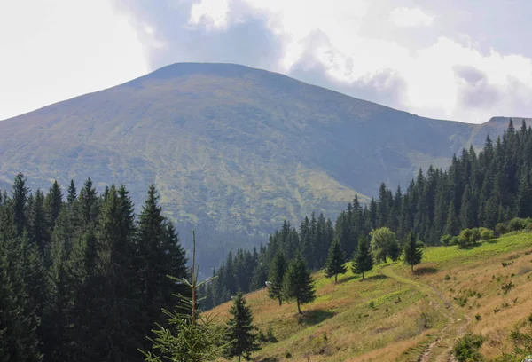 The majestic view of the beautiful mountains. Relaxing travel background. Tourist routes. Carpathians. Ukraine. Europe. — Stock Photo, Image