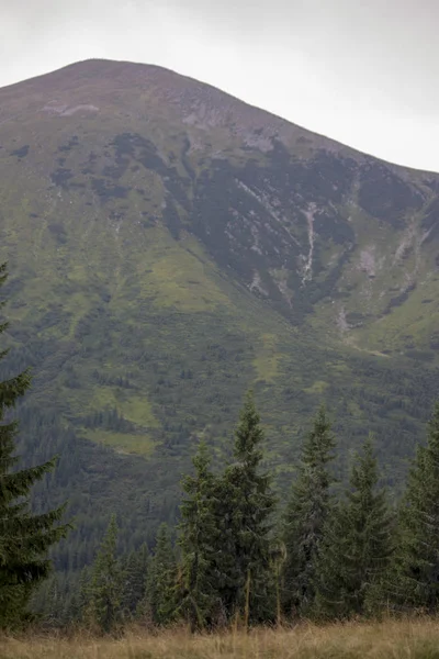 Güzel dağların görkemli manzarası. Rahatlatıcı seyahat arka plan. Turistik rotalar. Karpatlar. Ukrayna. Avrupa. — Stok fotoğraf