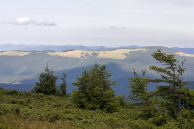 Güzel dağların görkemli manzarası. Rahatlatıcı seyahat arka plan. Turistik rotalar. Karpatlar. Ukrayna. Avrupa.