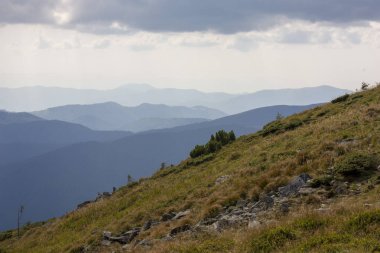 Güzel dağların görkemli manzarası. Rahatlatıcı seyahat arka plan. Turistik rotalar. Karpatlar. Ukrayna. Avrupa.
