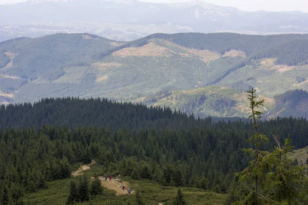 Güzel dağların görkemli manzarası. Rahatlatıcı seyahat arka plan. Turistik rotalar. Karpatlar. Ukrayna. Avrupa. — Stok fotoğraf