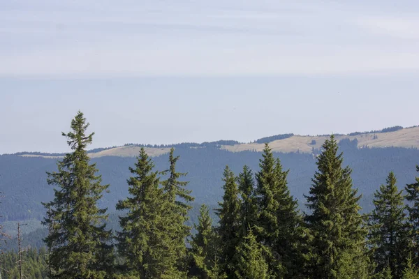 La majestuosa vista de las hermosas montañas. Relajante fondo de viaje. Rutas turísticas. Cárpatos. Ucrania. Europa . —  Fotos de Stock